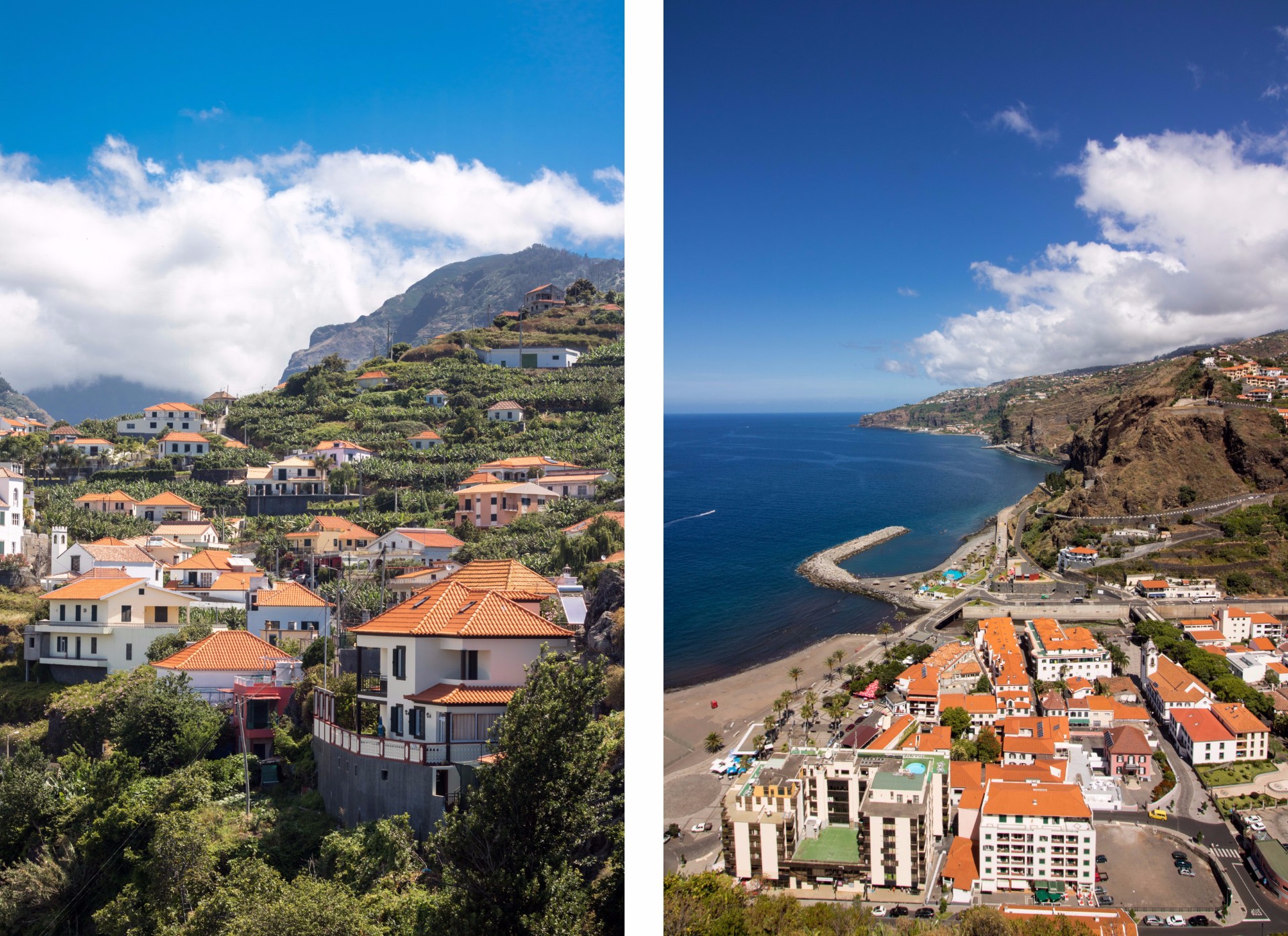 amazing-views-of-orange-roofed-houses-surrounded-by-trees-by-the-coast-in-ribeira-brava