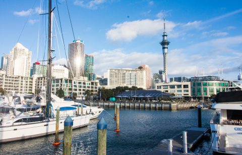 How to Spend Three Days in Auckland Travel Blog Guide What to See and Do in Auckland