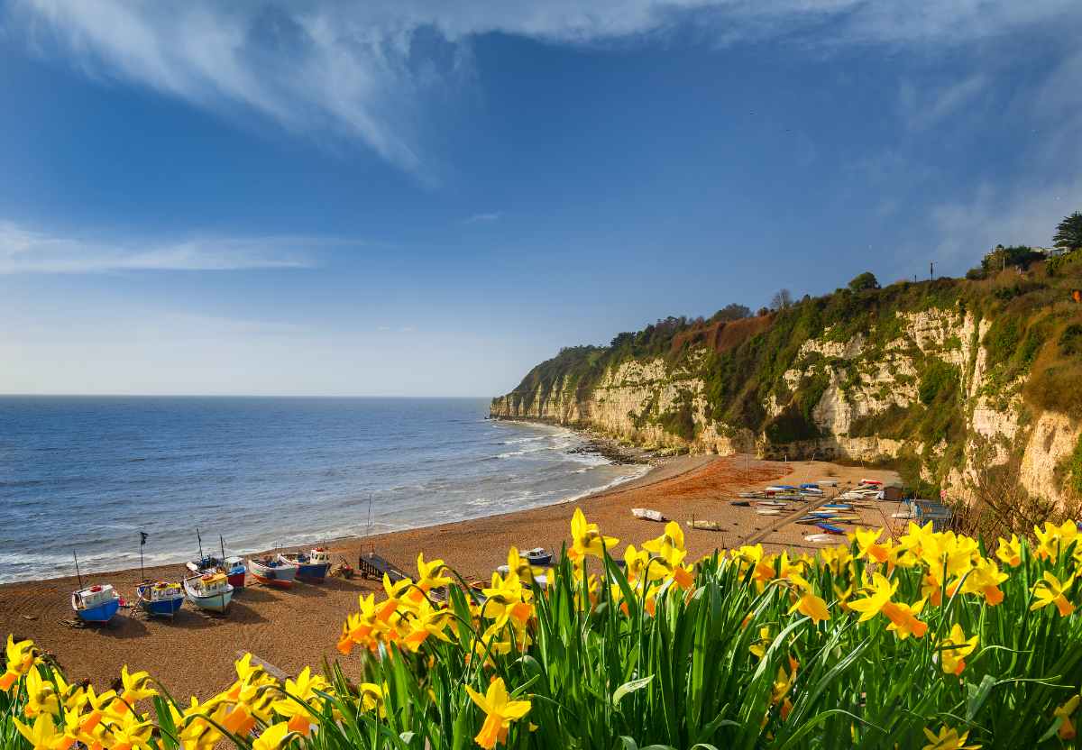 beach-in-beer-on-sunny-day-places-to-visit-in-devon