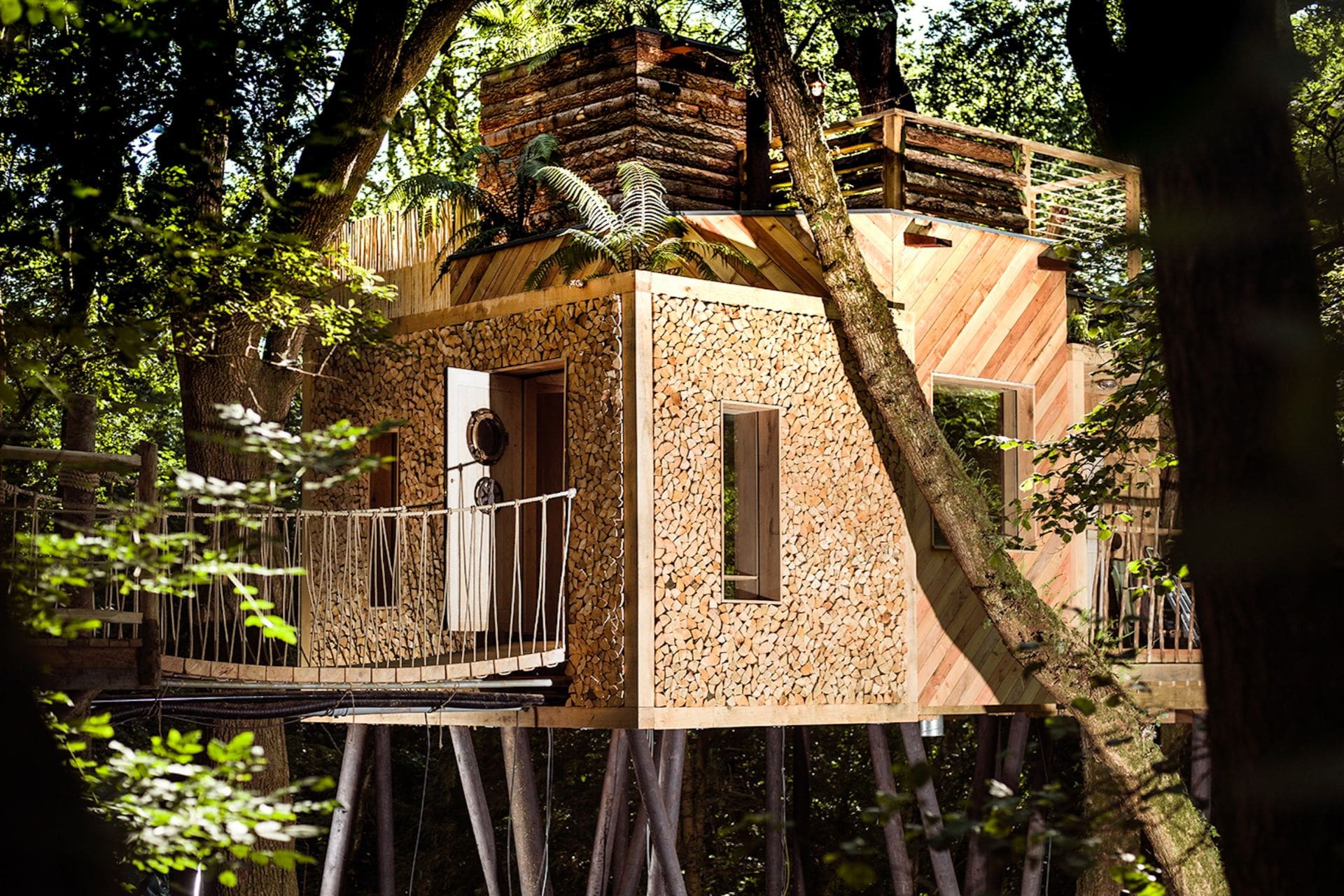 beautiful-luxury-treehouse-set-in-forest-with-a-rope-bridge-the-woodsmans-treehouse-crafty-camping-holditch-dorset-treehouse-holidays-uk-with-hot-tub