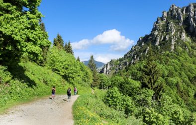 girls-walking-in-luscious-green-mountains-in-the-dolomites-italian-alps-hike-to-rifugio-pernici-valle-di-ledro-lago-di-ledro