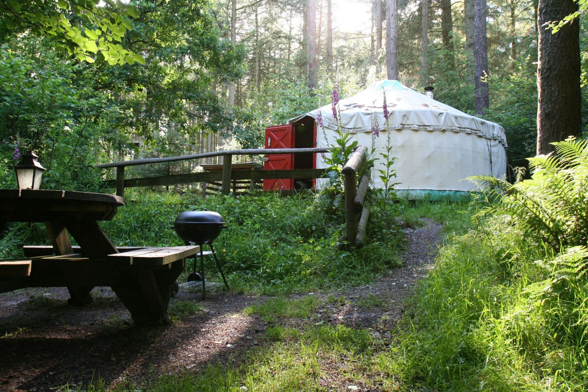 picnic-table-and-bbq-beside-yurt-in-forest-marthrown-of-mabie-yurt-in-dumfries-and-galloway