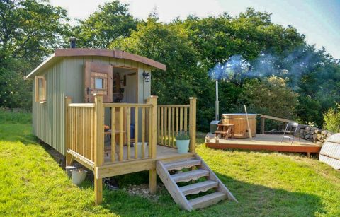 shepherds-hut-in-field-shepherds-rest-whitby-glamping-with-hot-tub-yorkshire