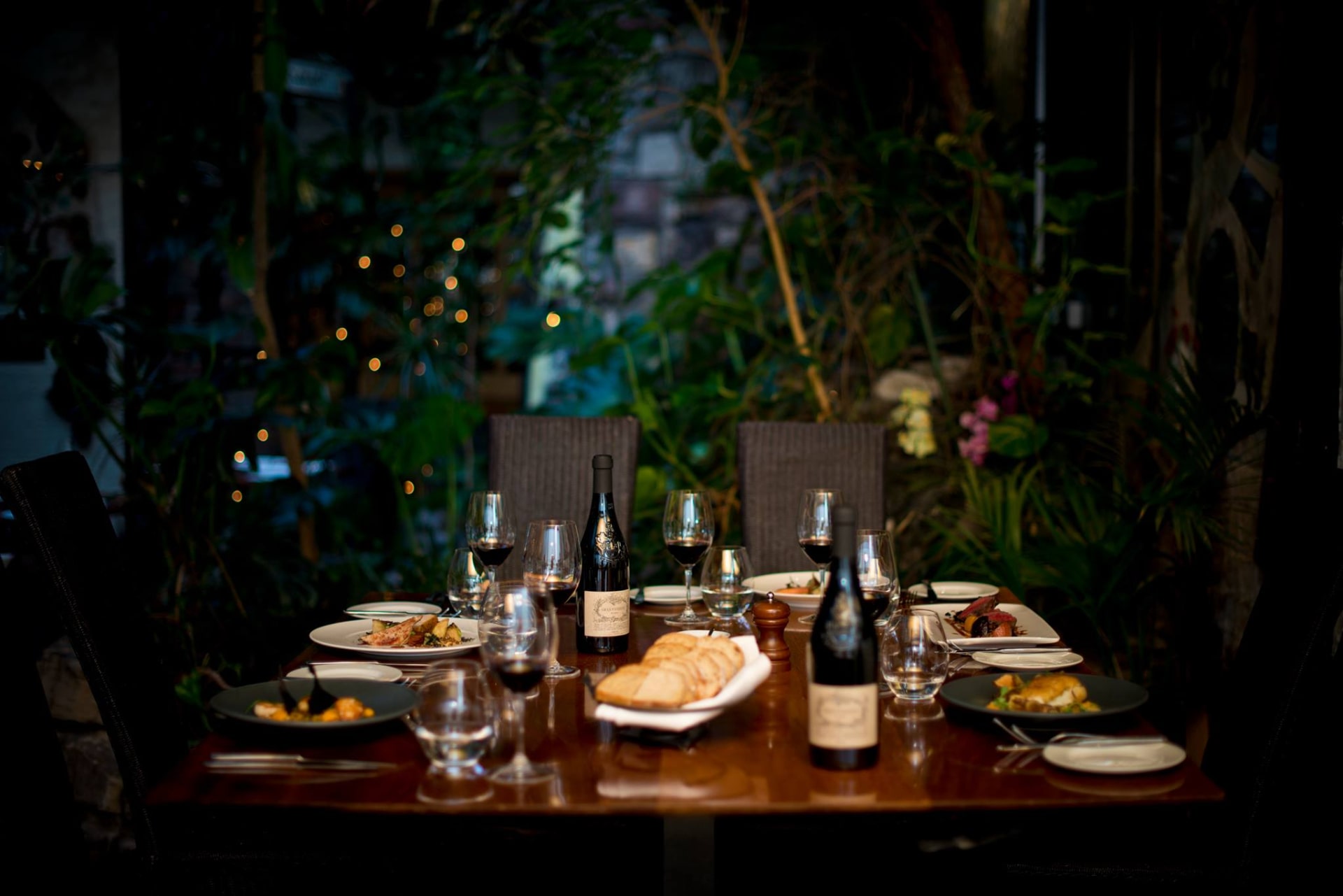 restaurant-table-with-plates-of-food-and-glasses-of-red-wine-in-leafy-setting-with-plants-ubiquitous-chip-glasgow