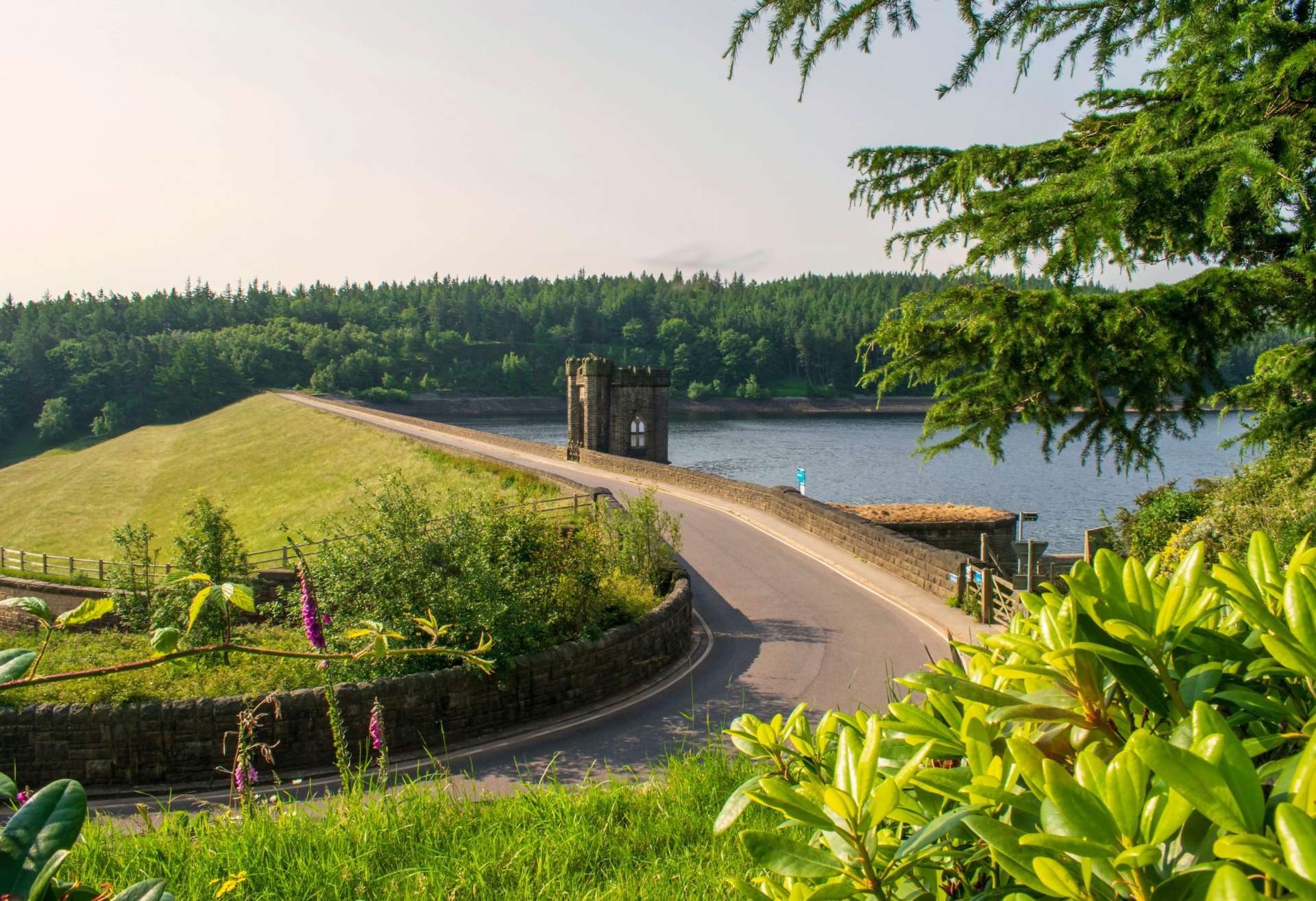 road-going-across-langsett-reservoir-with-a-grassy-field-on-the-other-side