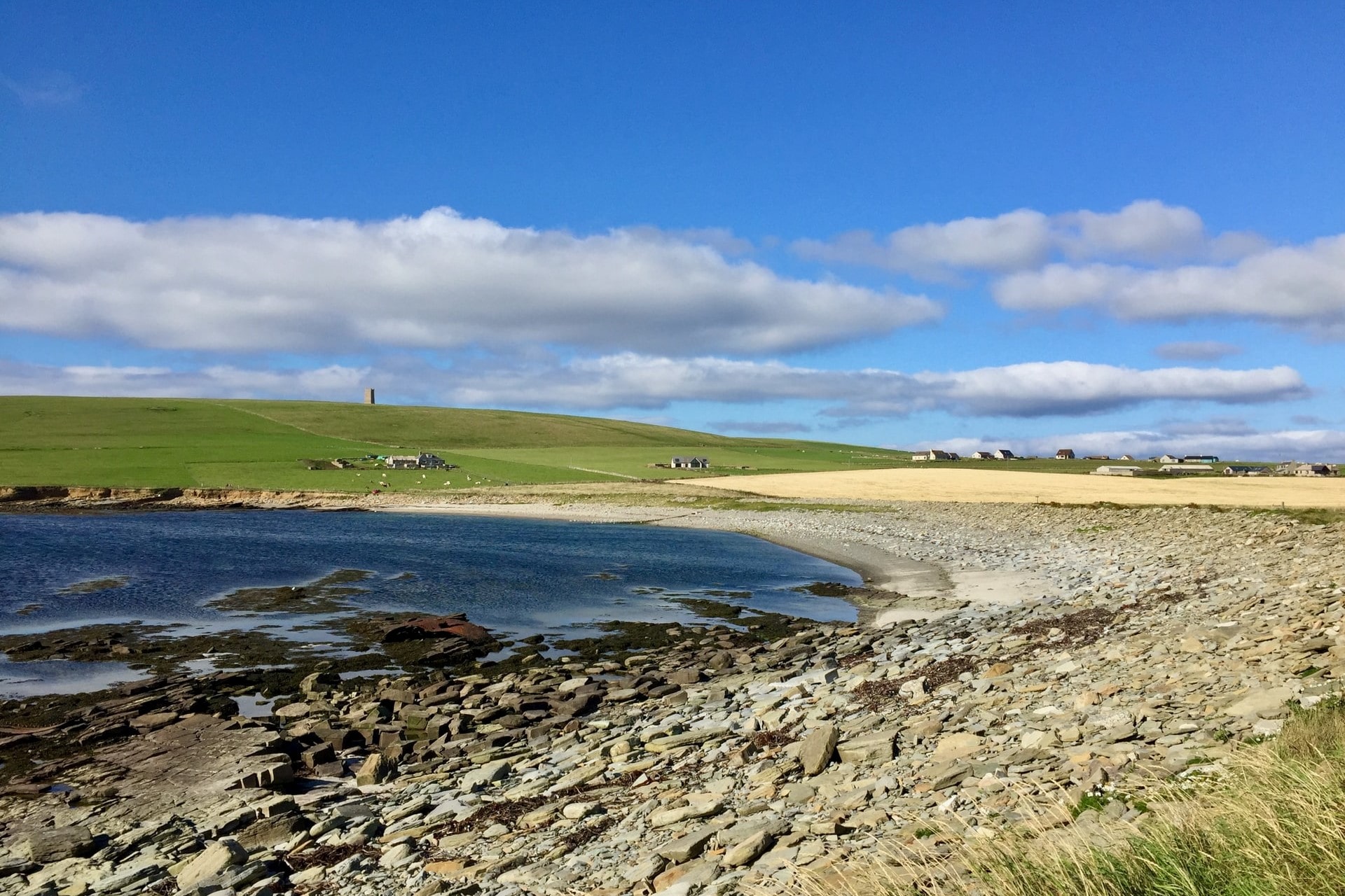 stone-beach-and-blue-ocean-with-green-fields-in-background-on-orkney-islands