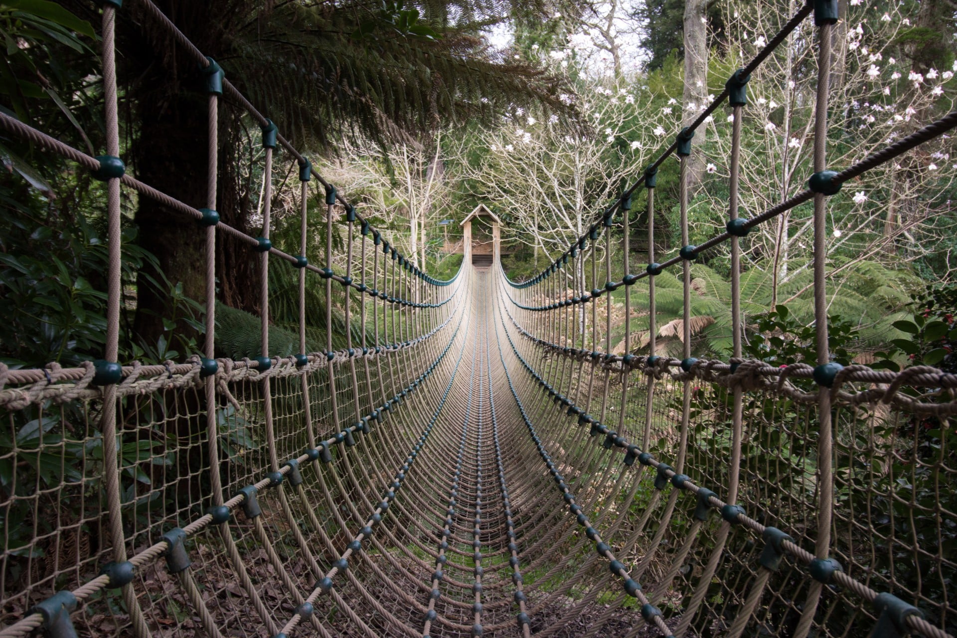 the-lost-gardens-of-heligan-rope-bridge-cornwall-hidden-gems