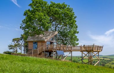treehouse-in-field-with-rolling-hills-in-background-squirrels-nest-llandrindod-wells-powys-glamping-with-hot-tub-wales
