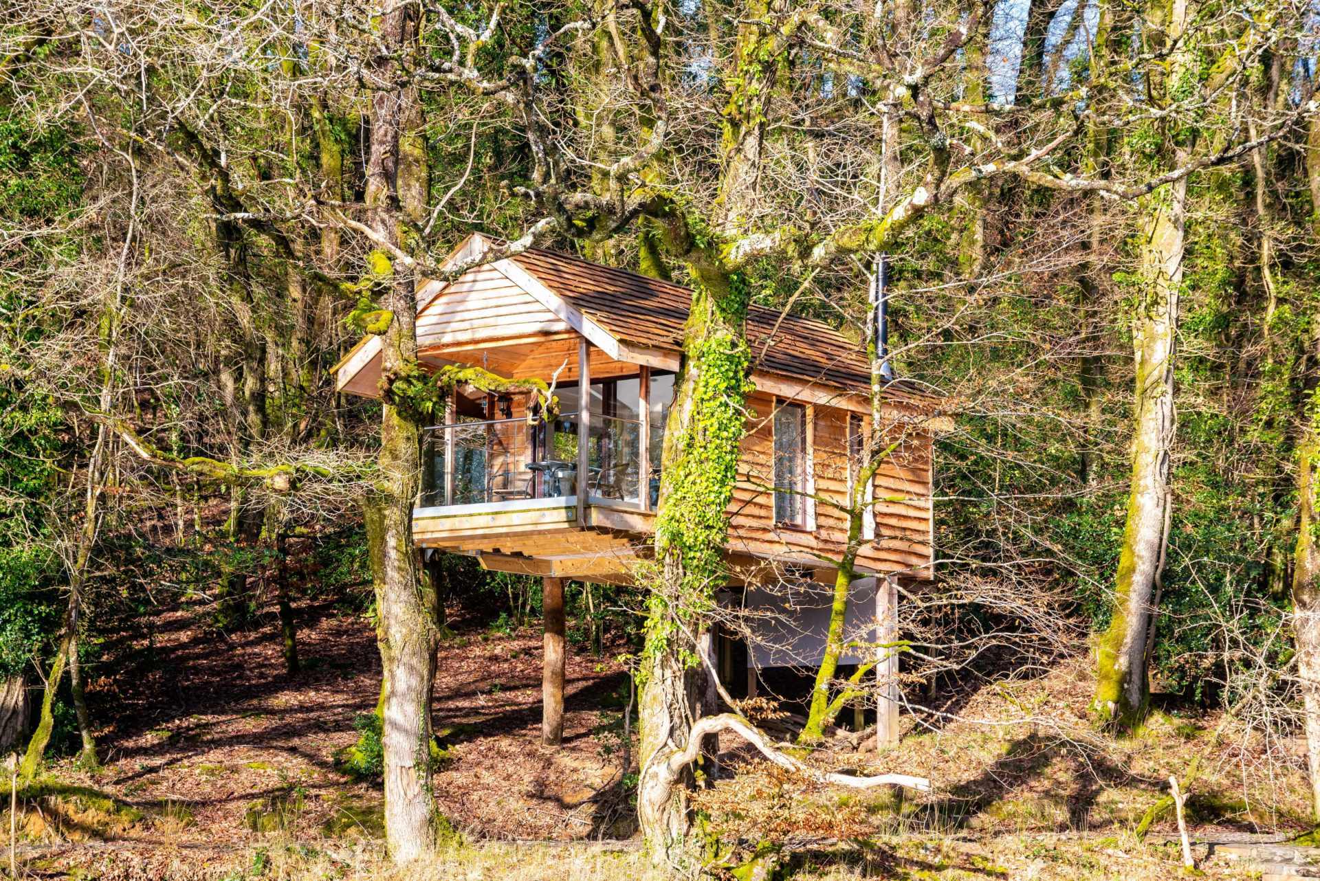 small-treehouse-on-stilts-yeworthy-eco-treehouse-in-elworthy-best-airbnbs-in-cornwall