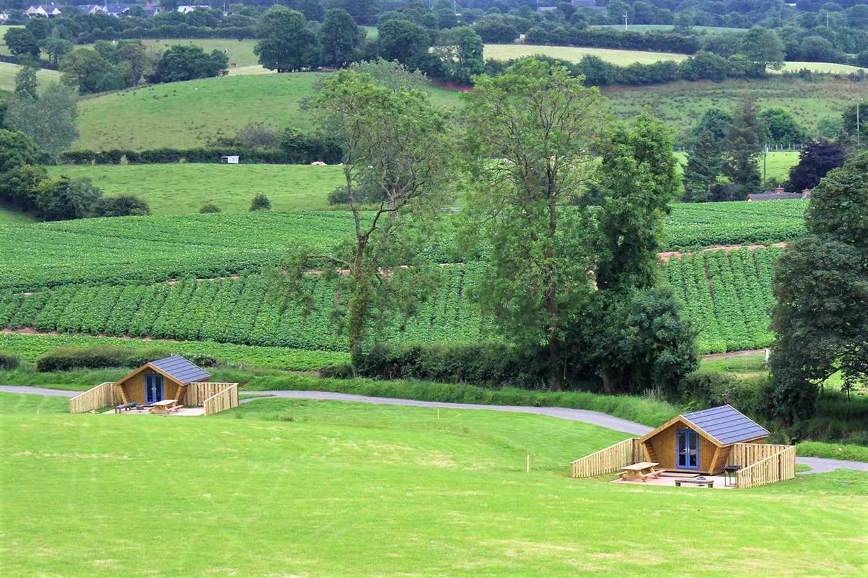 two-glamping-pods-in-green-field-at-the-jungle-ni