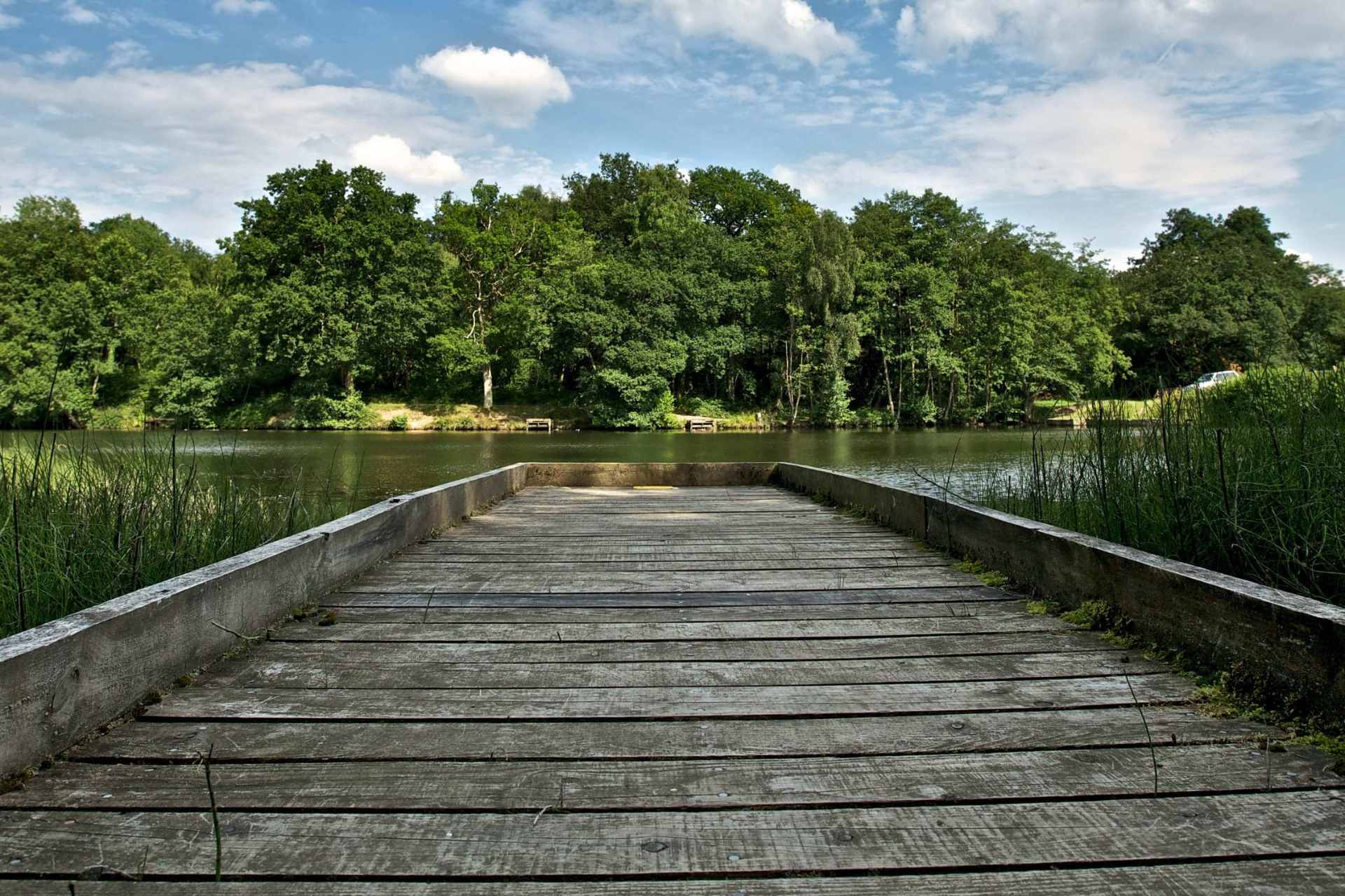 boardwalk-to-cannop-ponds-on-sunny-day