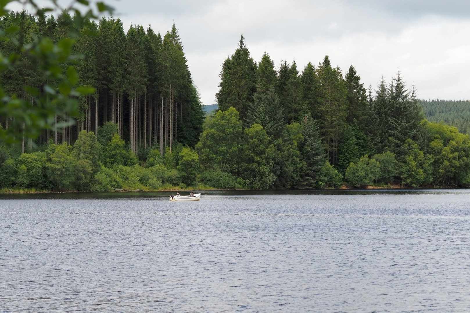 boat-in-lake-by-trees-on-kielder-water-best-places-to-visit-in-northumberland