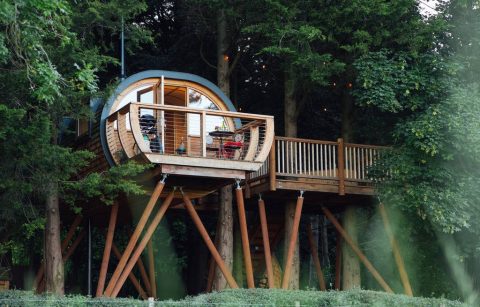 dabinett-treehouse-on-stilts-in-trees-at-the-orchard-glamping-somerset