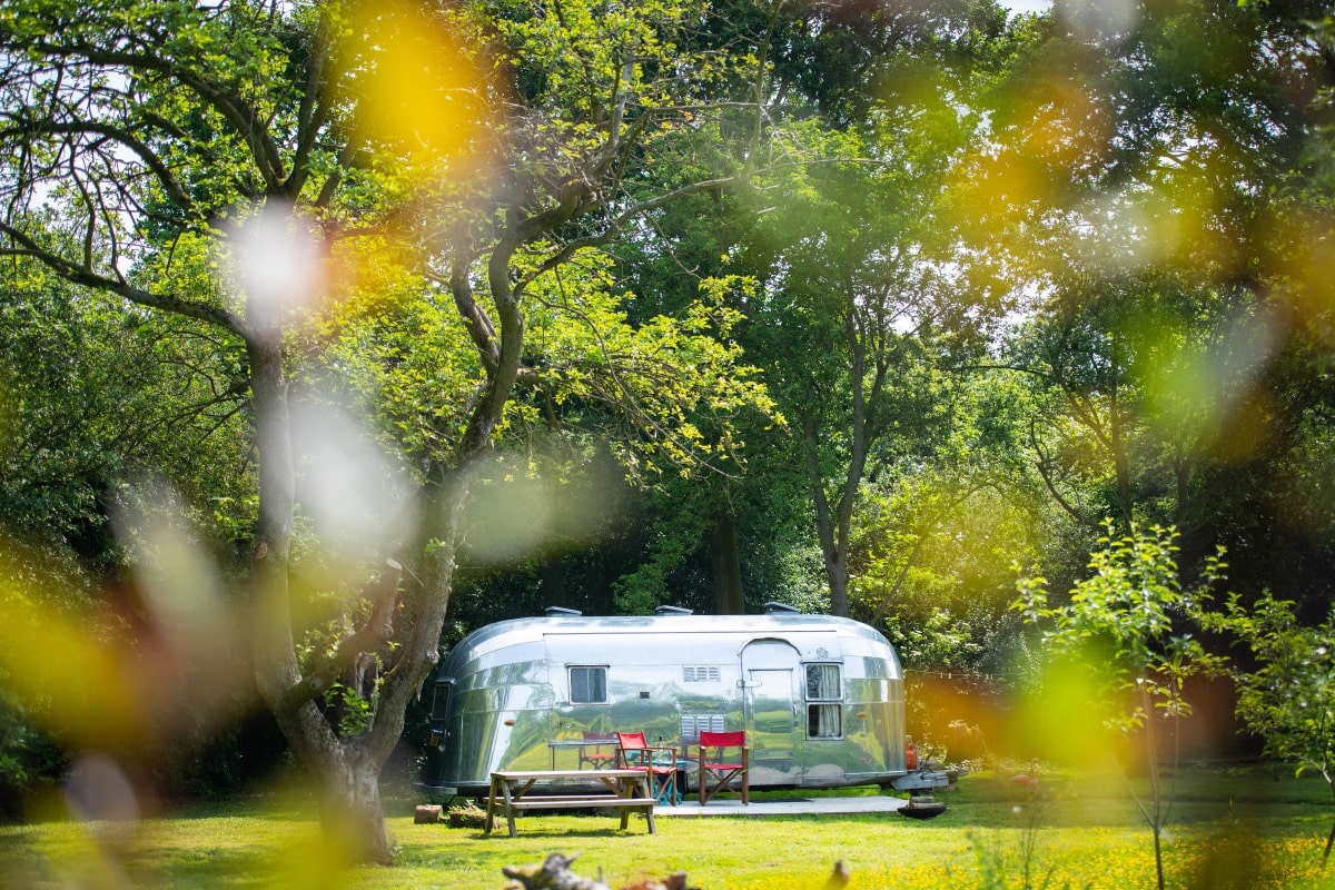 large-silver-airstream-the-caravanner-in-garden-with-trees-at-tin-can-camping-airstreams-glamping-norfolk