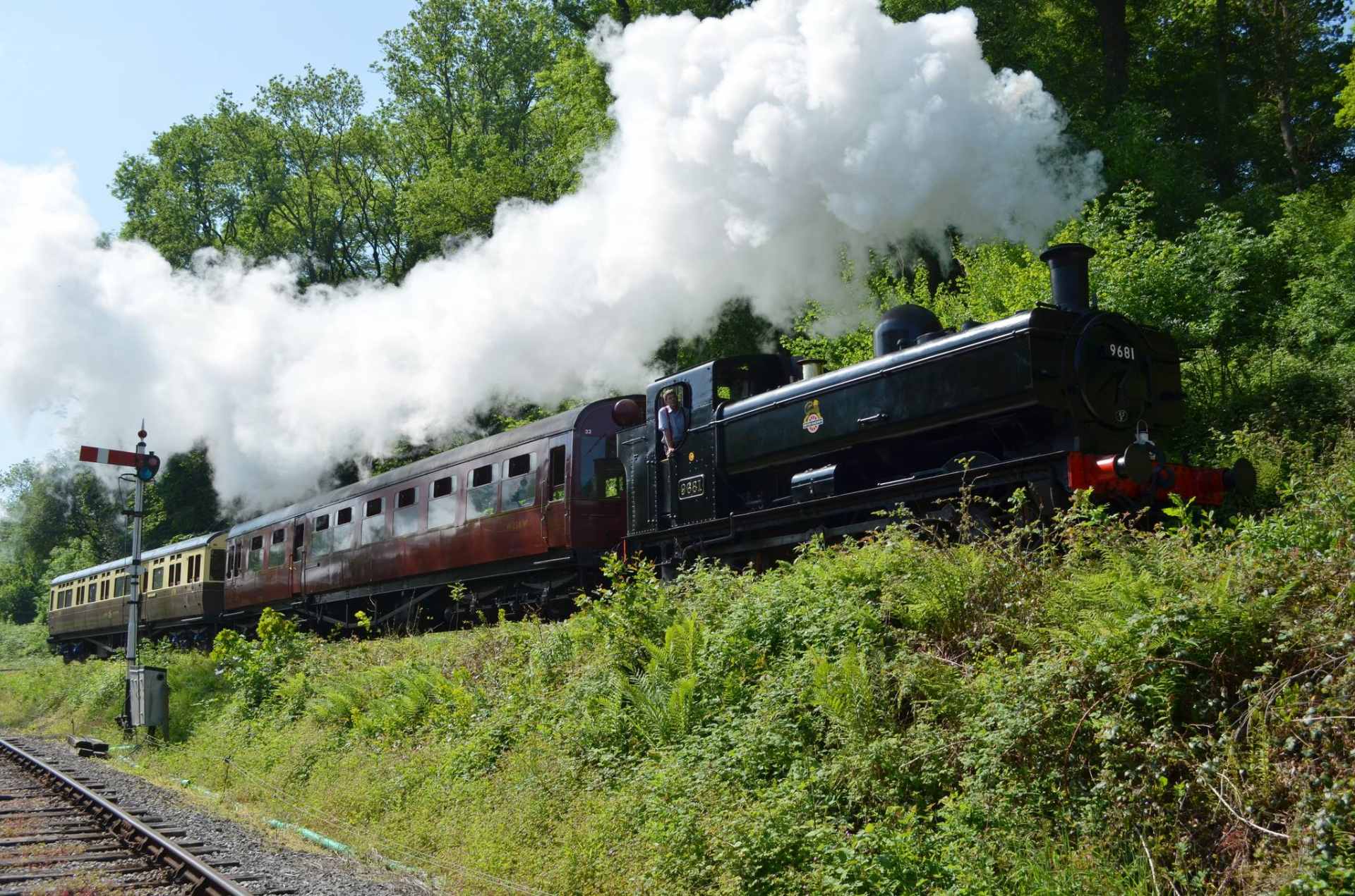 man-looking-out-of-steam-train-running-through-countryside-at-dean-forest-railway