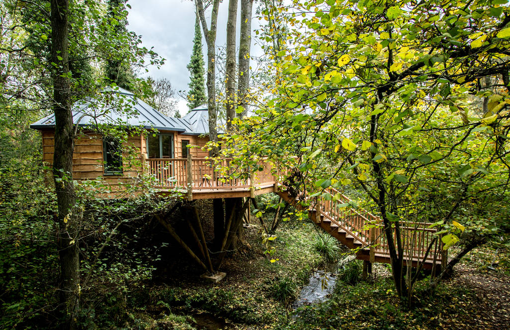 staircase-leading-up-to-the-bower-treehouse-in-woodland-glamping-somerset
