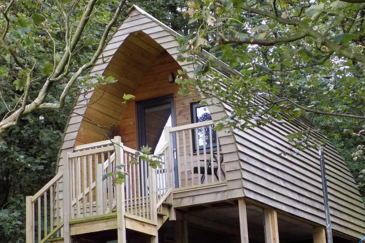steps-leading-up-to-luxury-woodland-glamping-pod-in-trees-at-heaves-wood-tahn