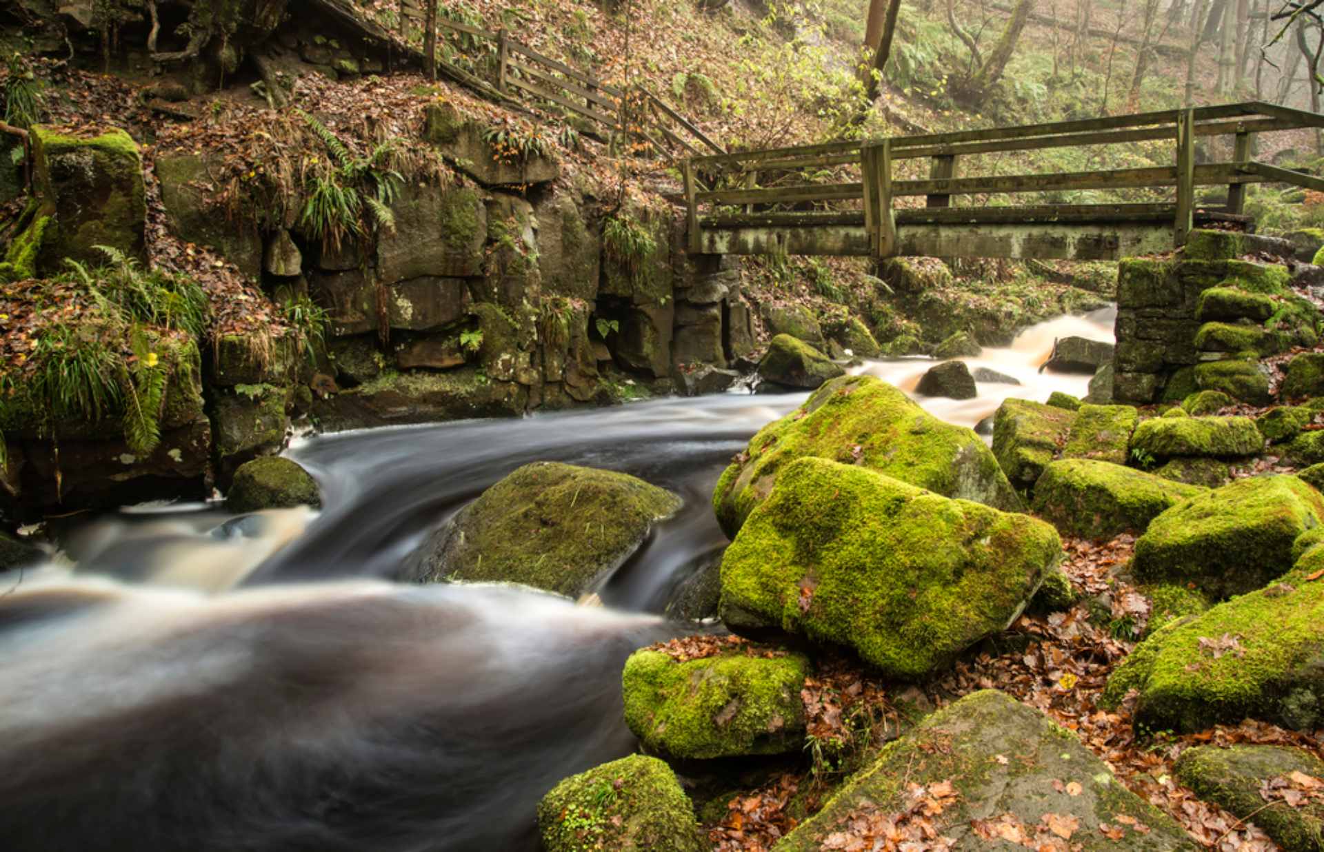 stream-rushing-under-small-wooden-bridge-in-forest-padley-gorge