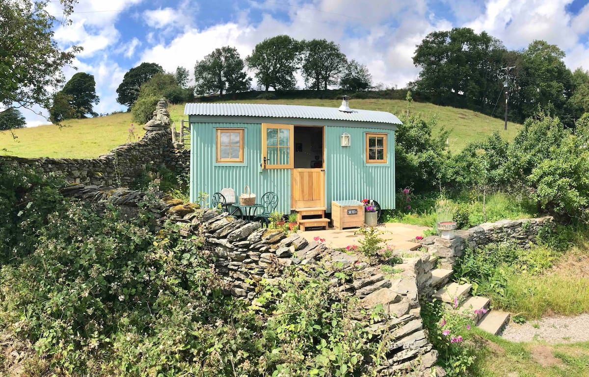 teal-wild-sheep-shepherds-hut-up-steps-in-garden-on-sunny-day