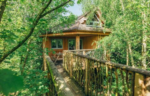 wooden-walkway-leading-to-tilla-quercus-west-lexham-treehouse-within-the-trees-glamping-norfolk