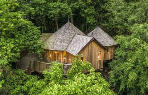 aerial-view-of-the-buzzardry-treehouse-amid-trees-glamping-sussex