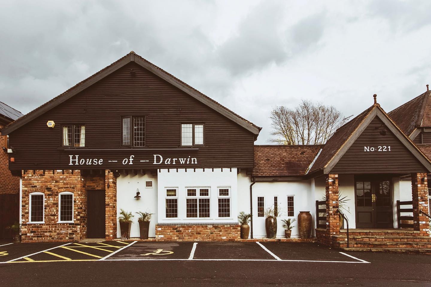 exterior-of-house-of-darwin-pub-on-cloudy-day