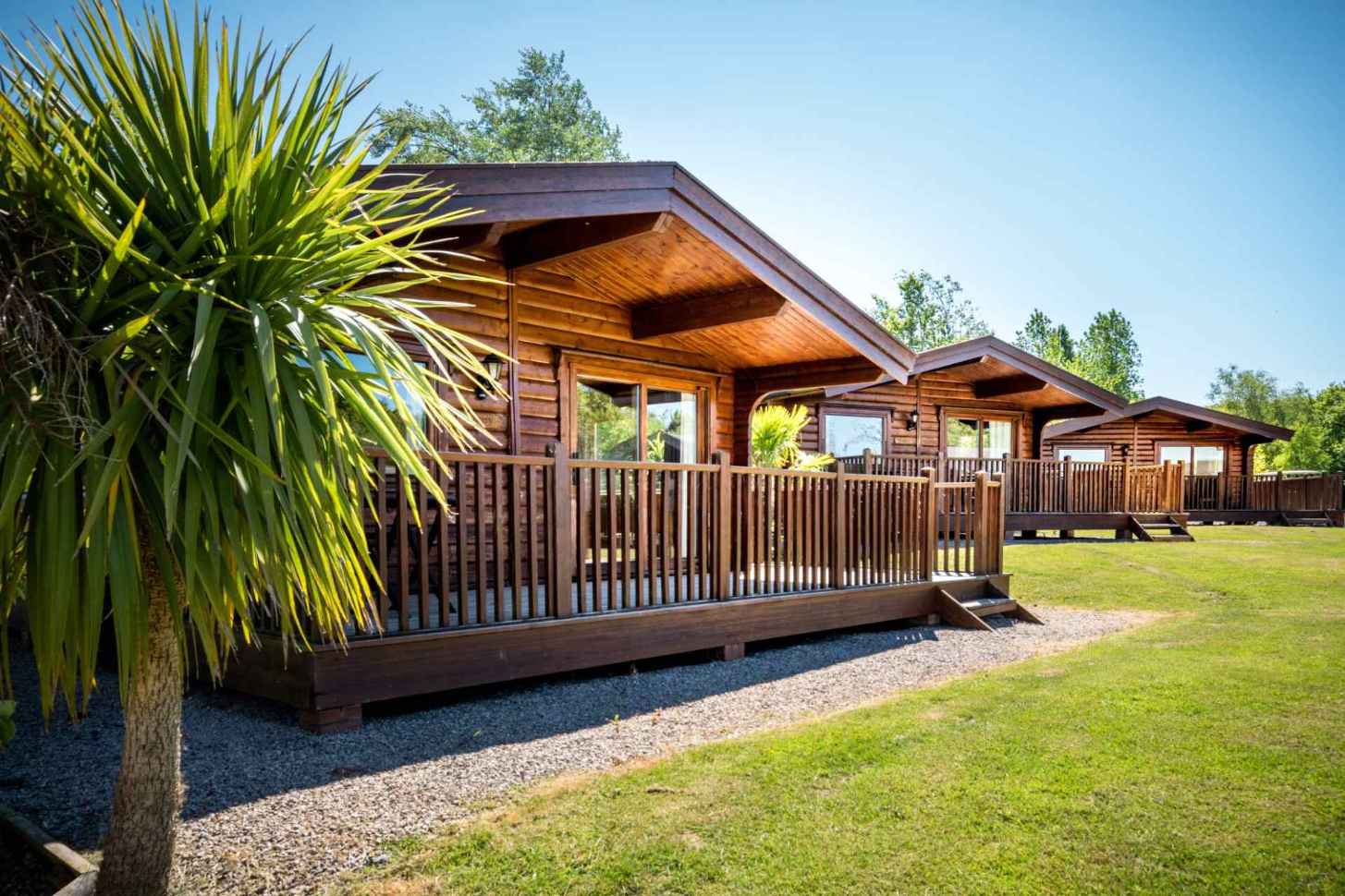 fingle-glen-lodges-in-field-with-palm-trees