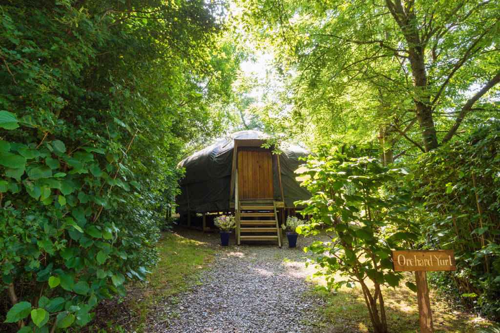 gravel-path-leading-to-orchard-yurt-in-woodland