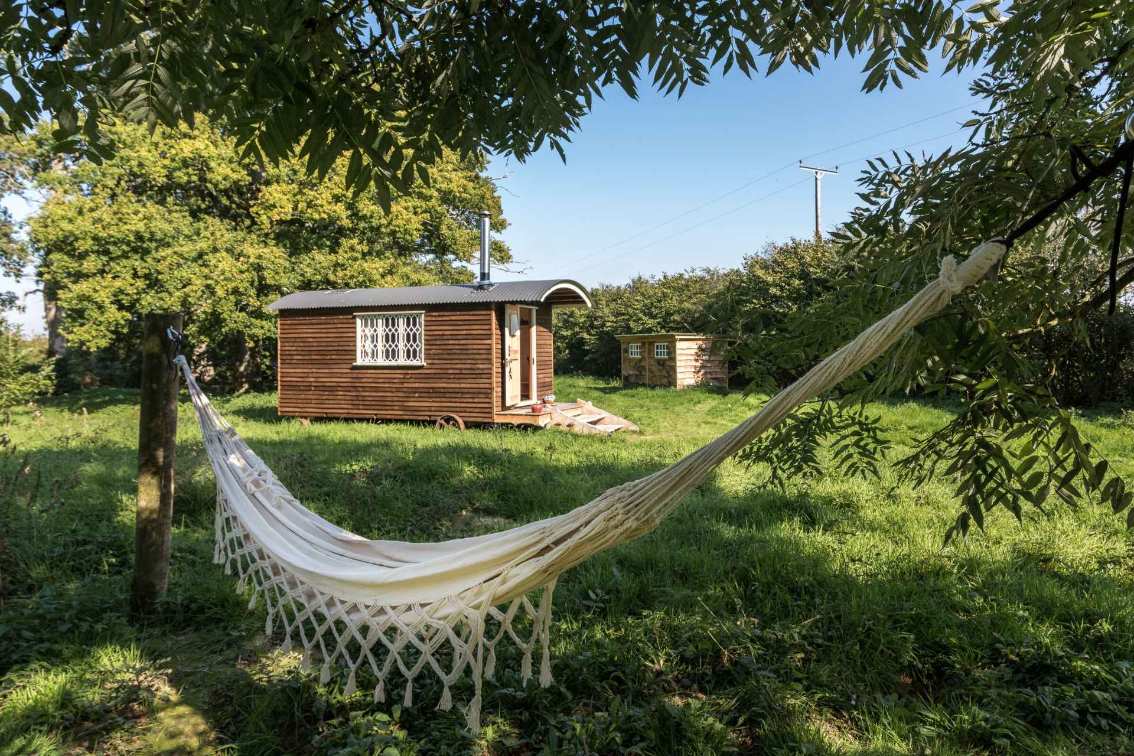 hammock-in-front-of-withywood-shepherds-hut-in-field-on-merrion-farm-glamping-sussex
