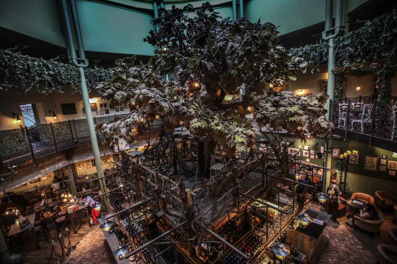 large-tree-inside-the-botanist-bar-in-newcastle