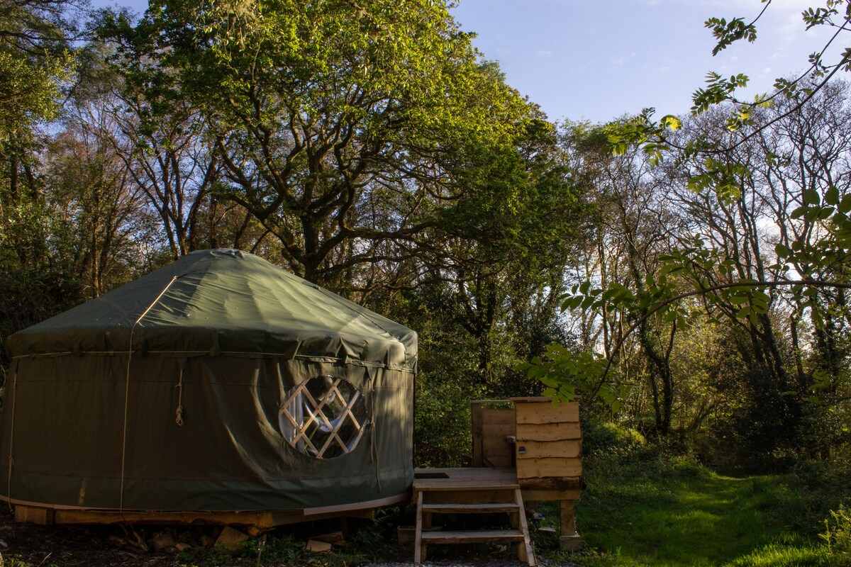 oak-tree-yurt-on-decking-surrounded-by-trees