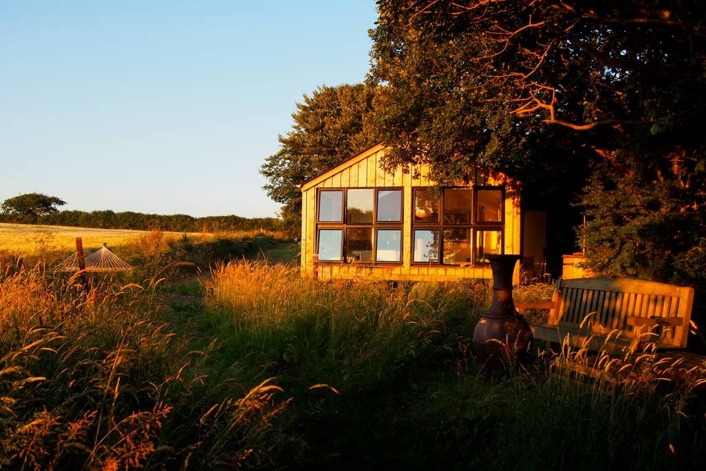 quiet-of-stars-cabin-by-trees-in-field-at-sunset