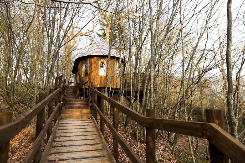 steps-leading-up-to-hoots-treehouse-in-woodland-in-autumn-glamping-sussex