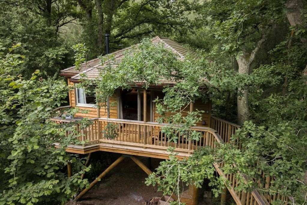 tinkers-treehouse-on-stilts-in-woodland-at-downash-wood-glamping-sussex