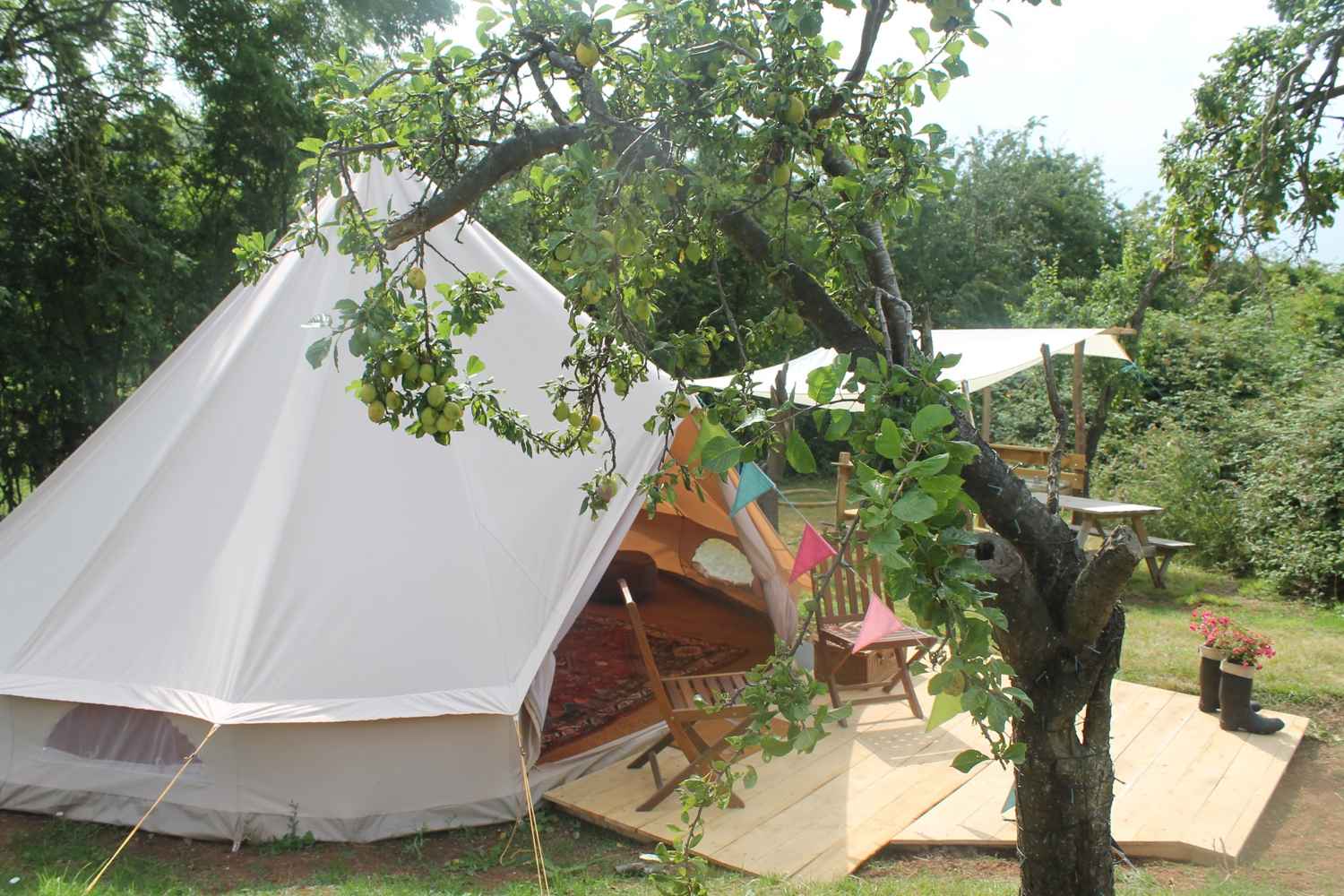 white-plum-tree-glamping-bell-tent-with-decking