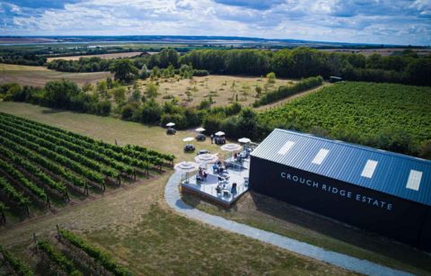 aerial-view-of-crouch-ridge-estate-vineyard-places-to-visit-in-essex