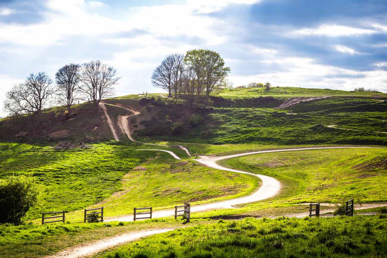 hills-and-mountain-bike-trails-of-hadleigh-park-places-to-visit-in-essex