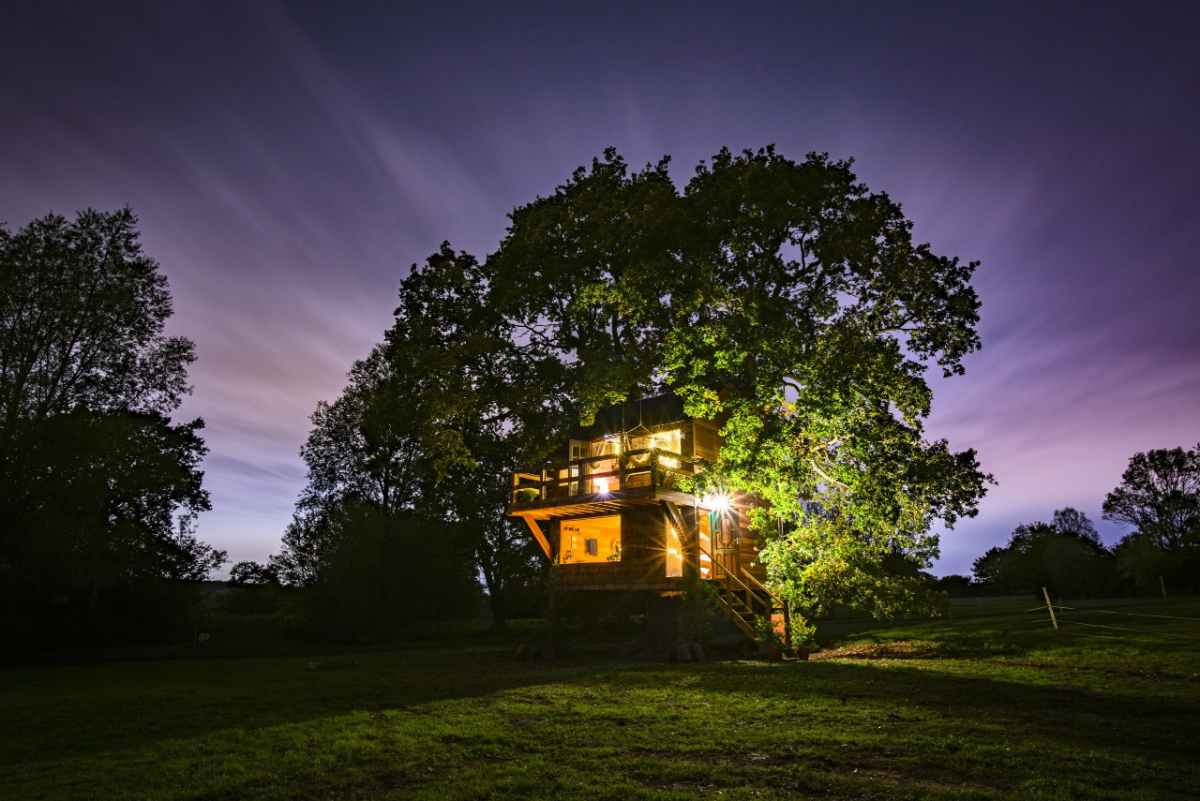 the-old-oak-treehouse-at-colemans-farm-lit-up-at-night-glamping-essex
