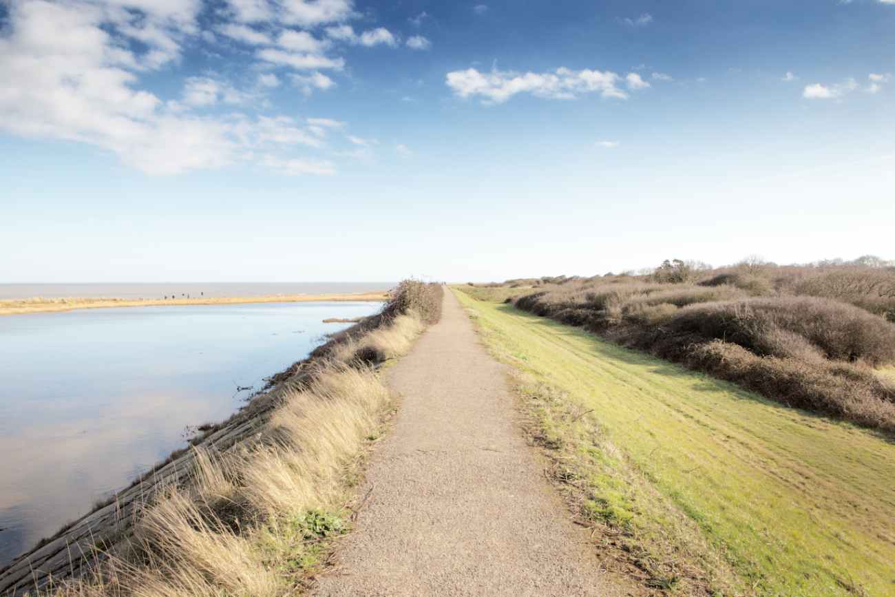 view-from-walton-on-the-naze-over-water-and-grasslandplaces-to-visit-in-essex
