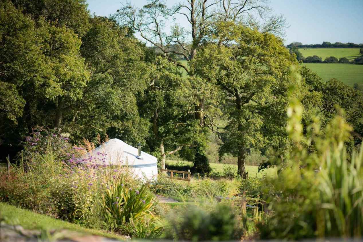 white-yurt-by-trees-in-field-at-fron-farm-yurt-retreat