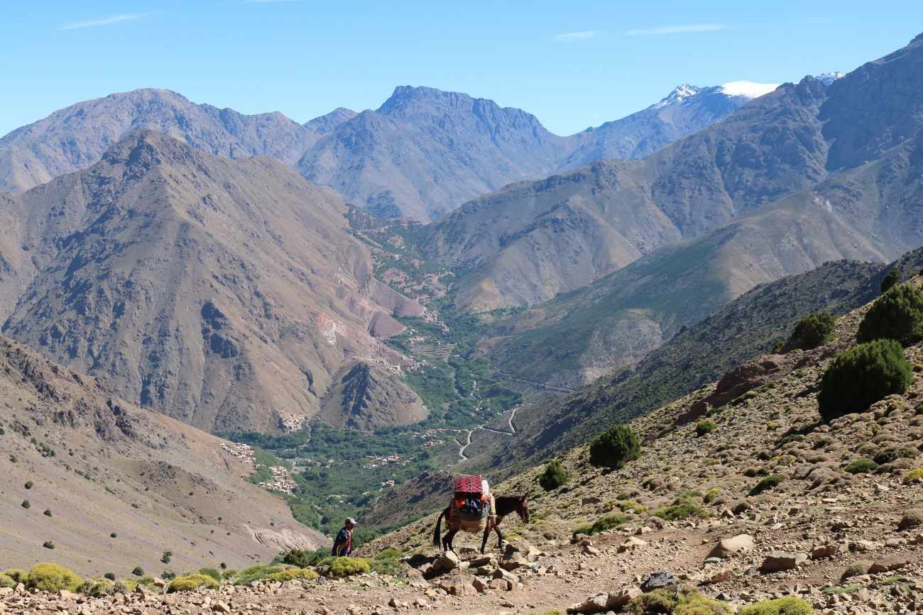 horse-walking-in-imlil-in-the-high-atlas-mountains-marrakech-itinerary