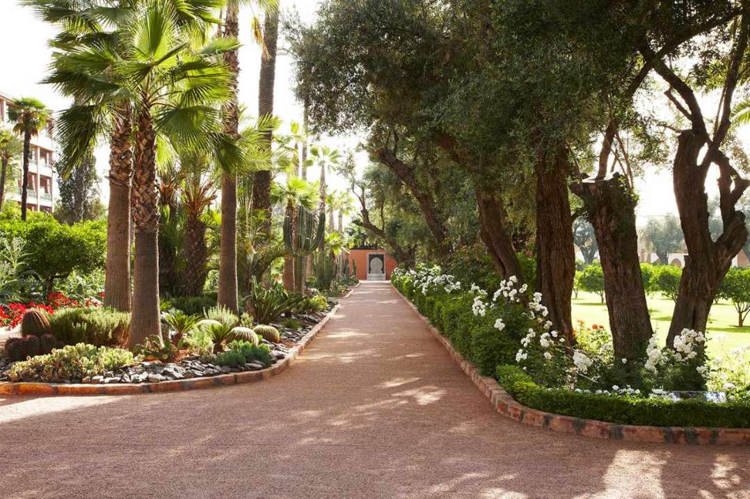 pathway-going-through-la-mamounia-hotel-gardens