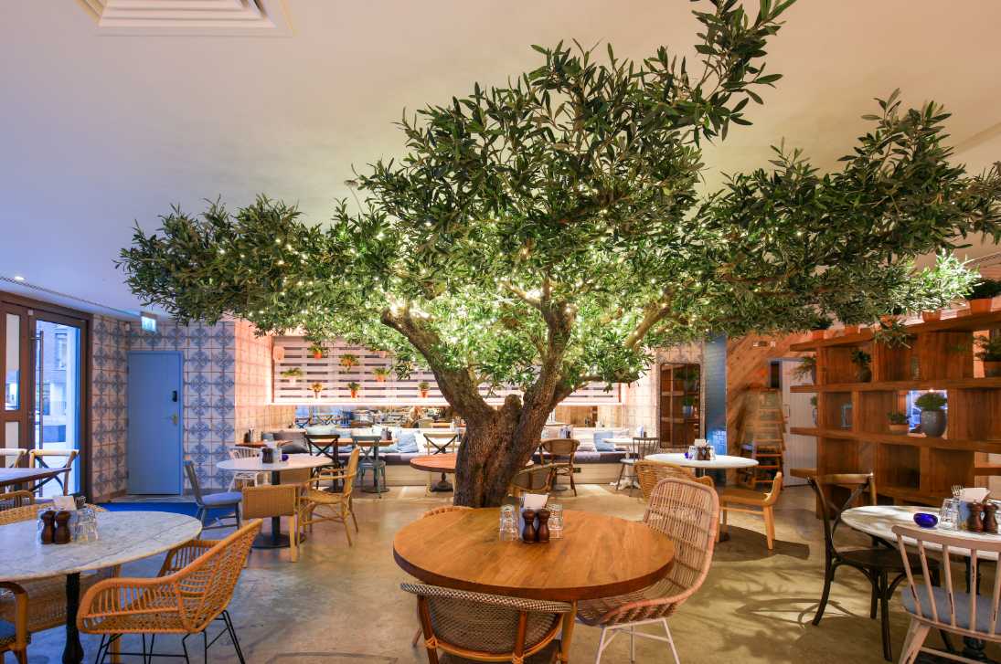 tree-and-restaurant-tables-inside-megans-old-town