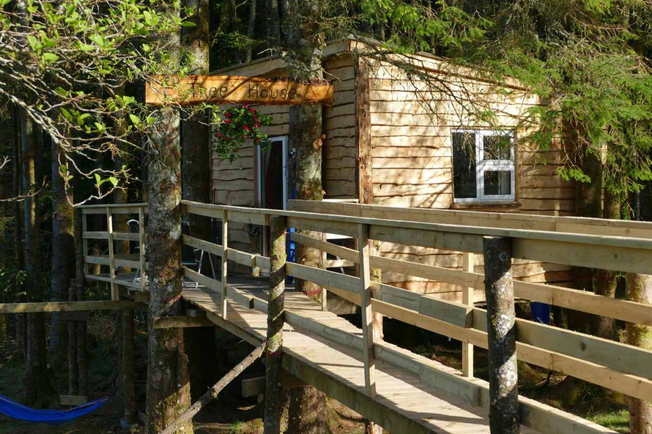 wooden-bridge-leading-up-to-ox-mountain-treehouse-in-forest-glamping-sligo