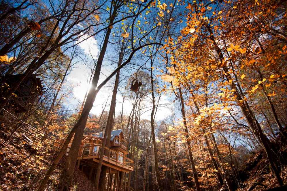 exeterior-of-sugar-creek-treehouse-in-forest