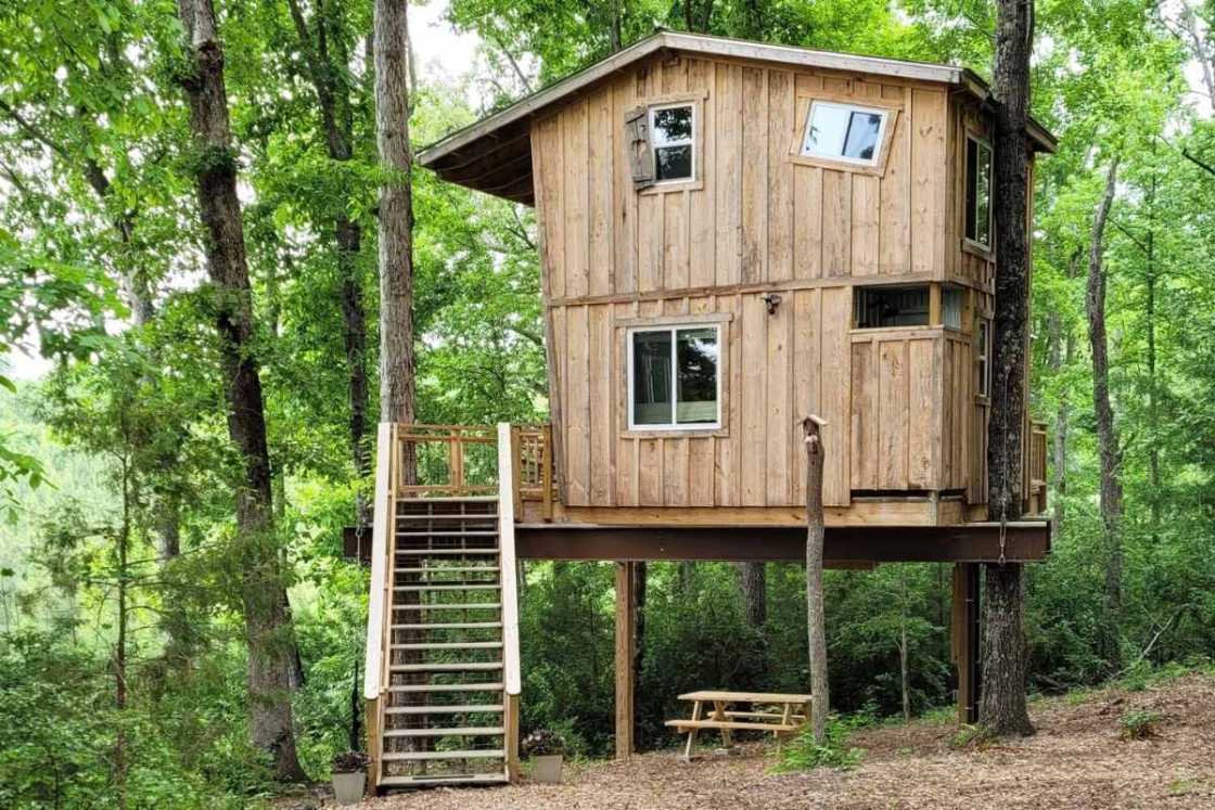 exterior-of-crooked-shutter-treehouse-treehouse-rentals-nc