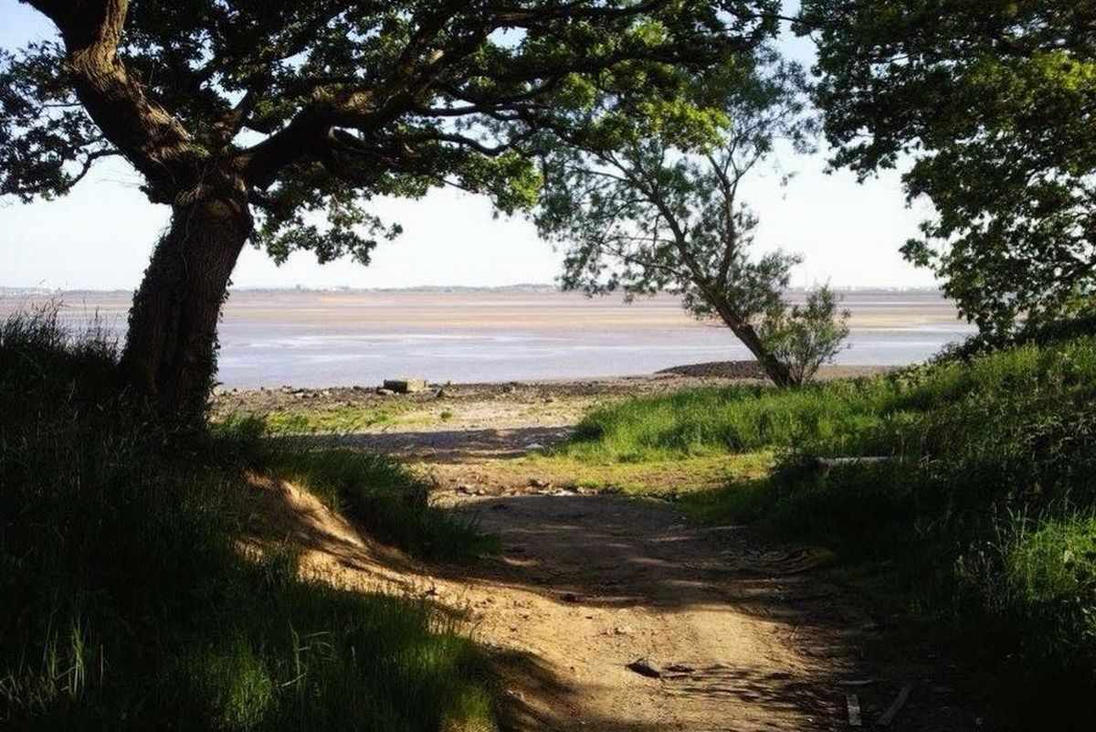 pathway-leading-down-to-oglet-beach