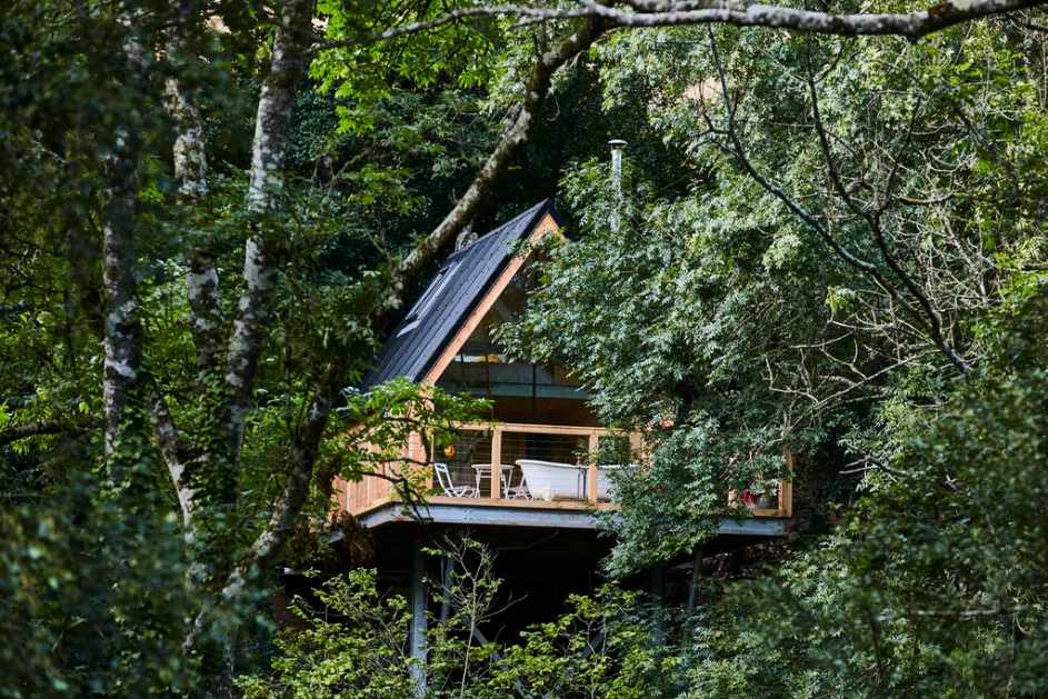 cleave-treehouse-at-windout-farm-treehouses-devon
