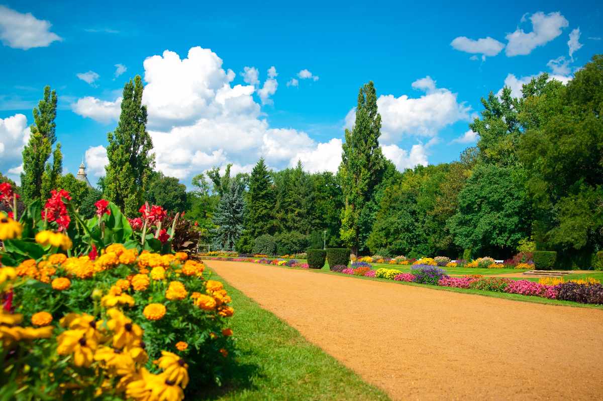 garden-of-flowers-on-margaret-island-on-sunny-day-romantic-things-to-do-in-budapest