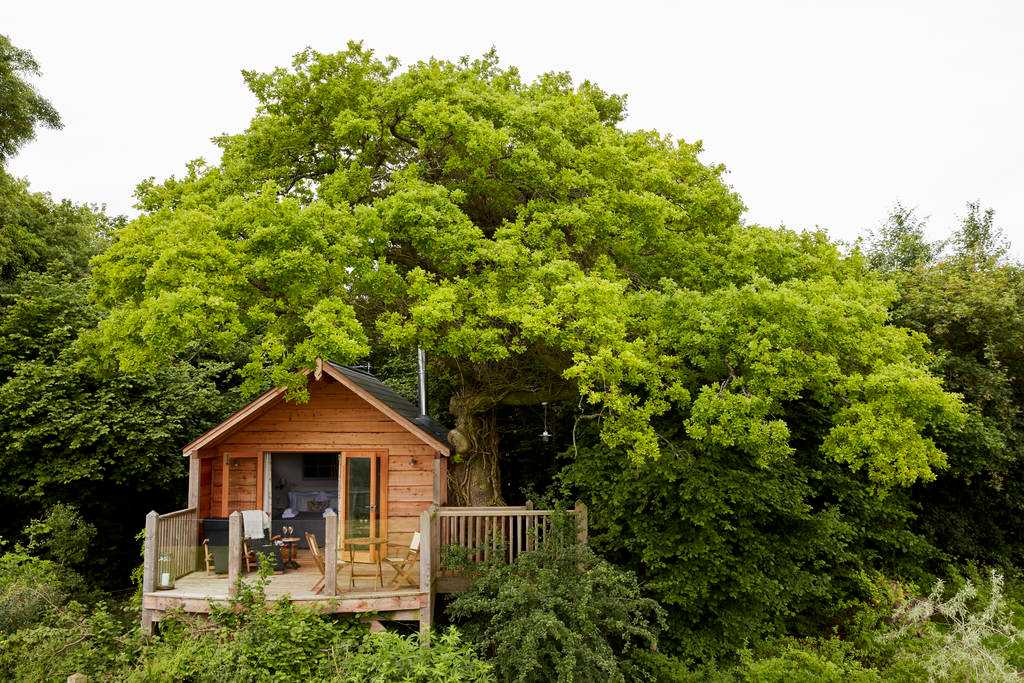 oakdown-treehouse-amid-trees-in-wiltshire